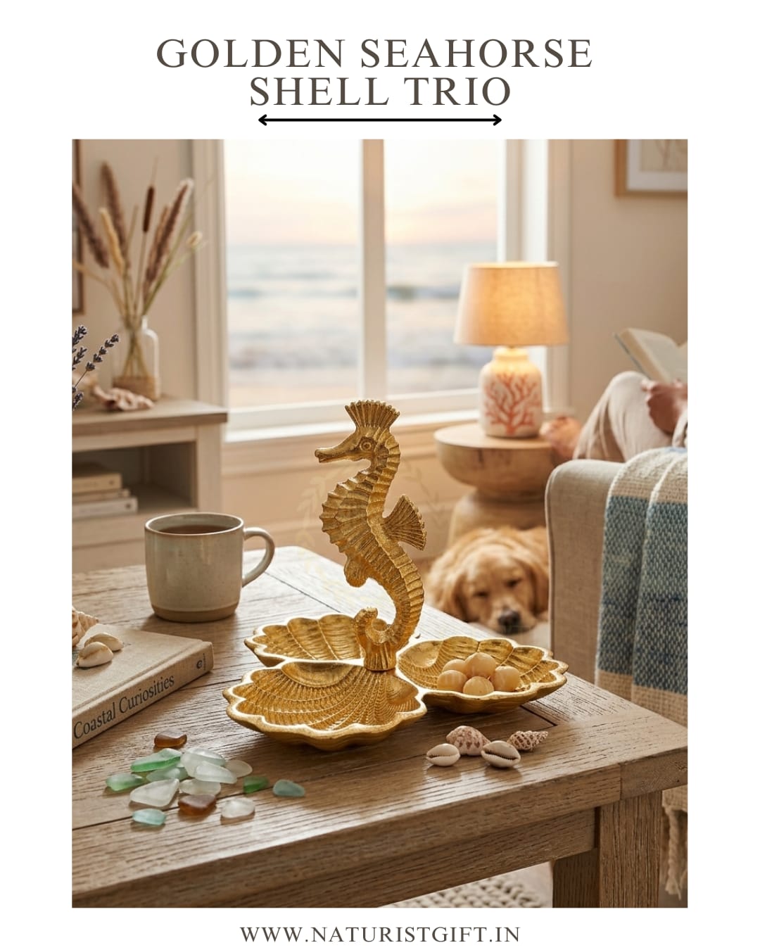 Golden Seahorse Shell Trio - Image 3