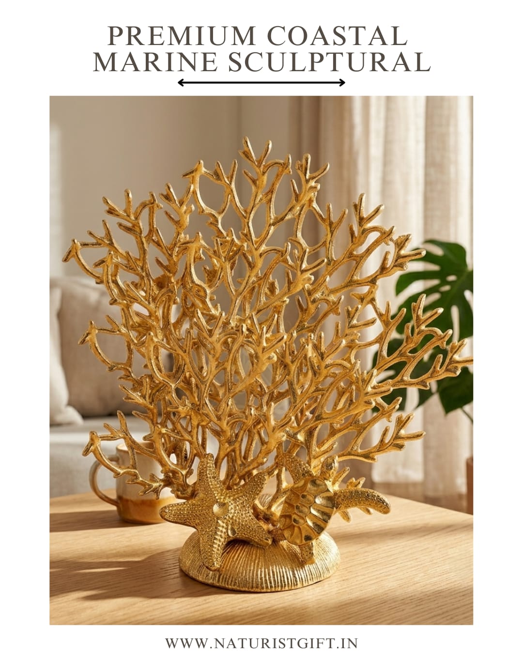 Premium Coastal Marine Sculptural - Image 3
