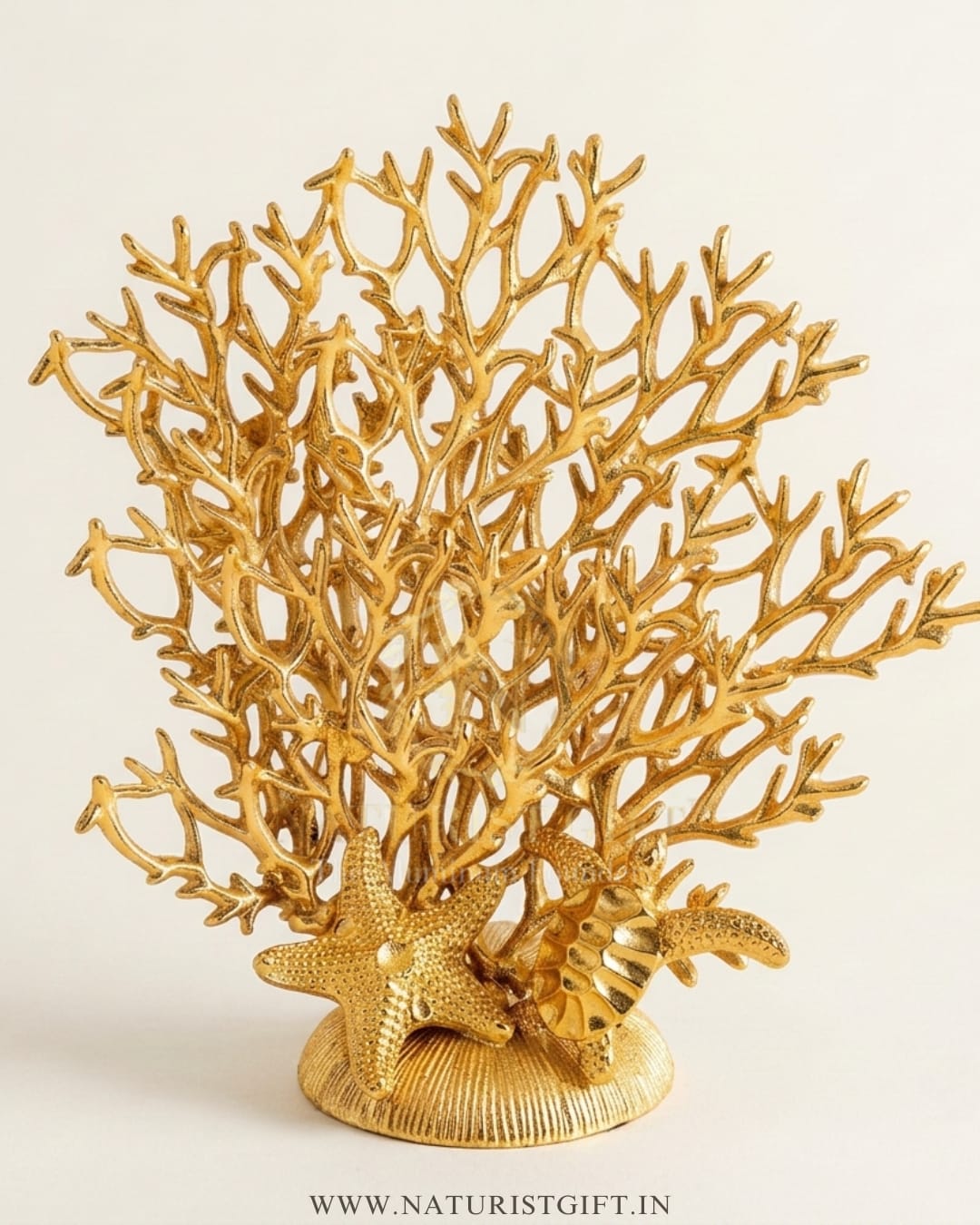 Premium Coastal Marine Sculptural - Image 2